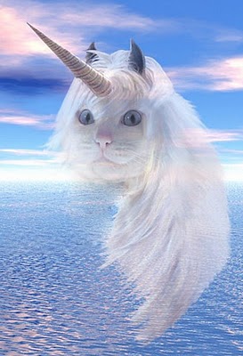 unicorn cat