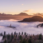 Mountains, trees and mist